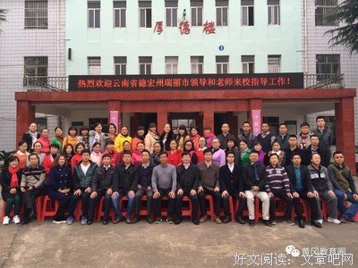  像树一样自由
