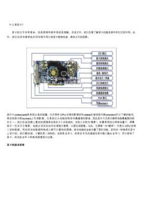  傻仔秋