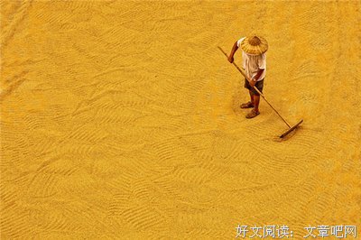  那年约你去“摸秋”