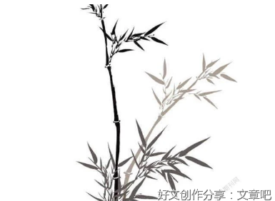 不卑不亢上上品