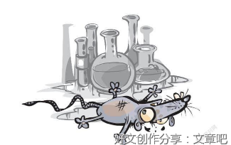鼠的纪念碑