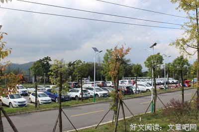 死在最幸福的日子里