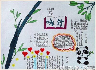 毛竹的故事