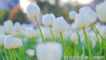 勤奋未必能够成功