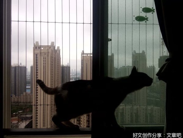 忧郁的春天
