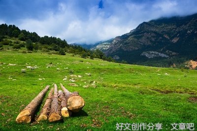 将军赶路，不追小兔