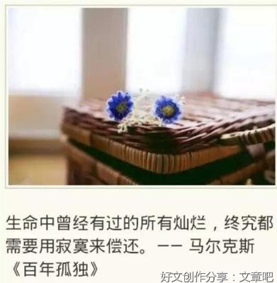 世间所有寂寞终将用灿烂偿还