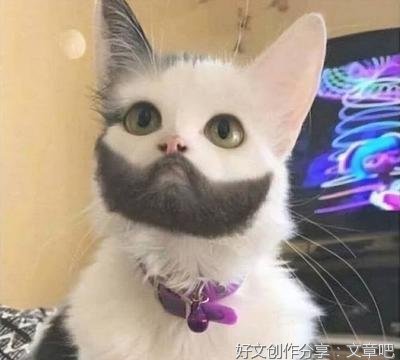 大胡子叔叔
