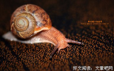 蜗牛秀