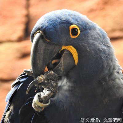  每一次叫你，都是一句我爱你