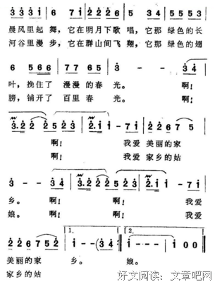  我爱凤尾竹