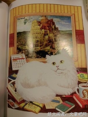  世间的猫都是旅人