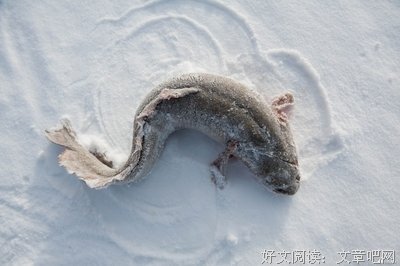 终点