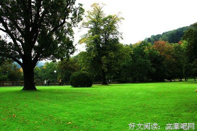 秋虫拨心弦