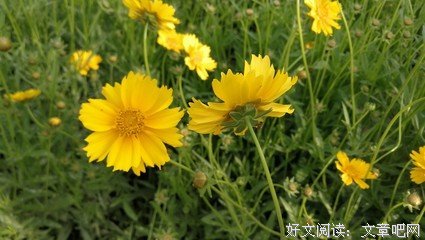 时光从未怠慢