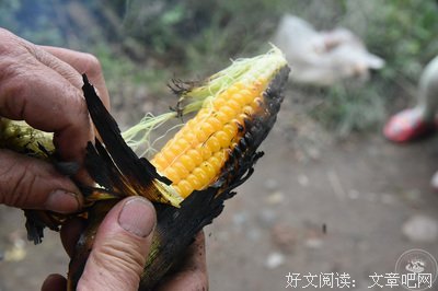 桥南火烧的香味儿