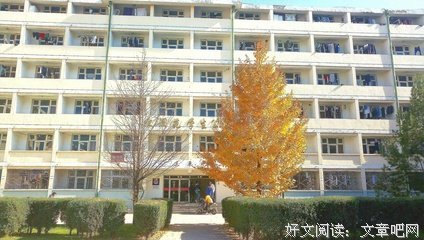 两棵树的守望