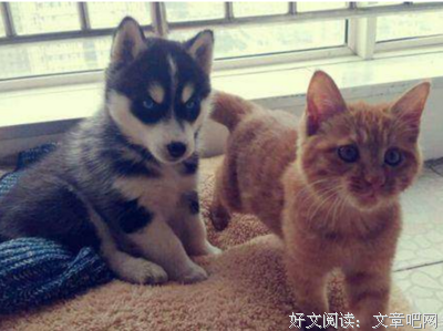  忽而秋至