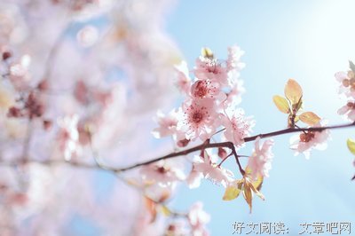 花下
