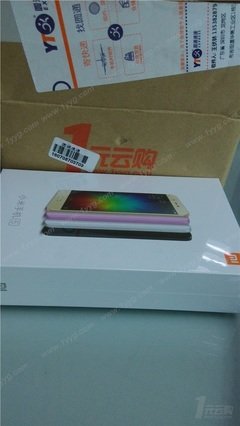 一只鸟有一千种欢叫的理由