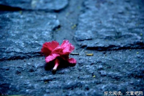 只为斗气，他给出了自己的积蓄
