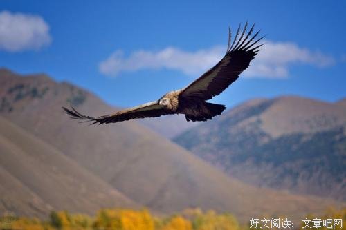 保持高三精神，未来的路，不会有难走的感觉