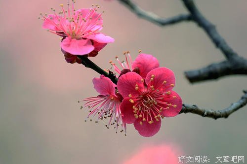 孩子，祝贺你迈进青春期