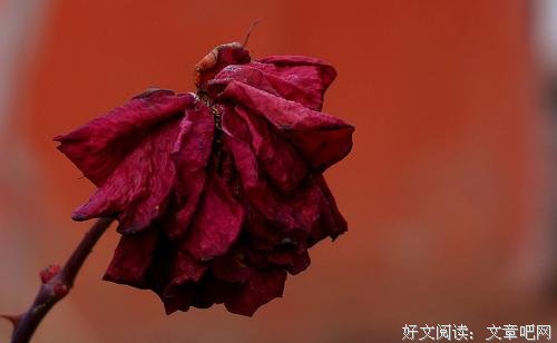 想要对方秒回信息，就别要求对方事业有成