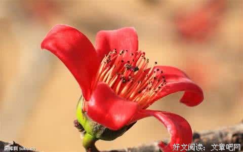 愿你从此珍惜身边人