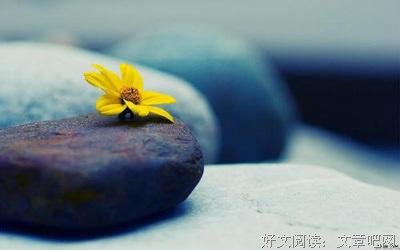 多点责任，会活得更好