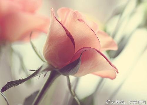 有一种善良，藏在默默无语中