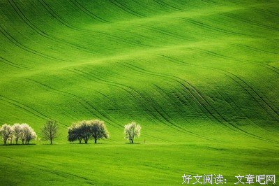 越是有本事的人，往往越是谦虚低调