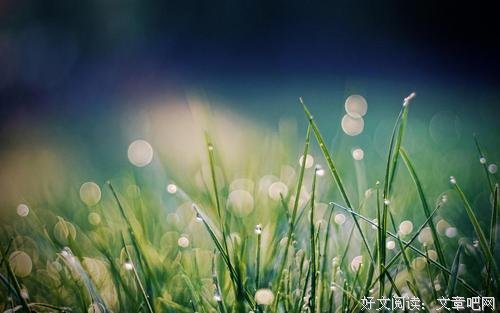 五十岁，尽量珍爱自己吧