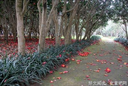 锁的无奈