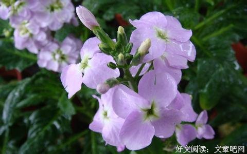 难得的孝心
