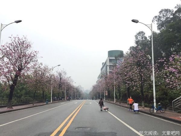 甜言蜜语固然重要，但实际行动更加需要