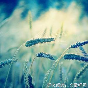 天上不会掉馅饼，一切都要脚踏实地