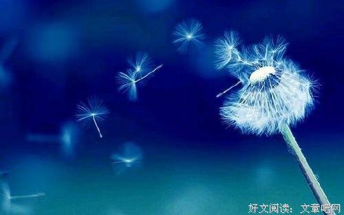 只有先保护好自己才能够帮助到别人