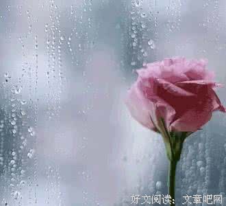 与其将就，不如单身