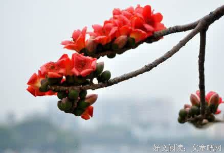 摆姿势，也是一种热爱生活的态度