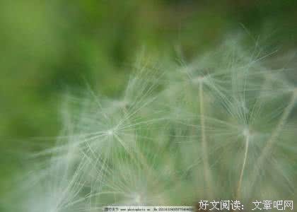 每个人的内心，都有隐秘处，请不要去探究、纠缠