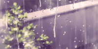 等待一场秋雨，与你分别