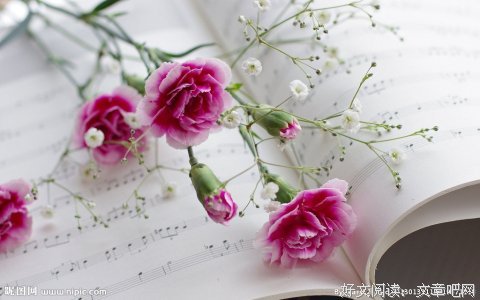女生为什么要“哄”