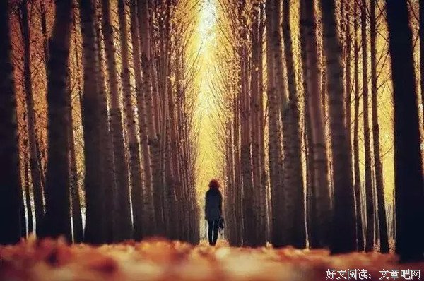 爱的拯救