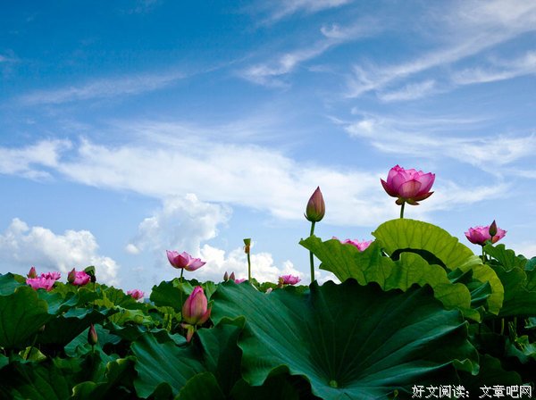 经常看不惯别人，也让自己生活在不如意之中