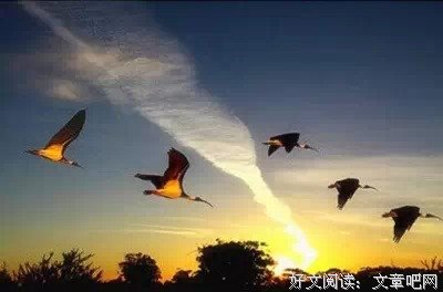 白日梦，也许是起飞的动力