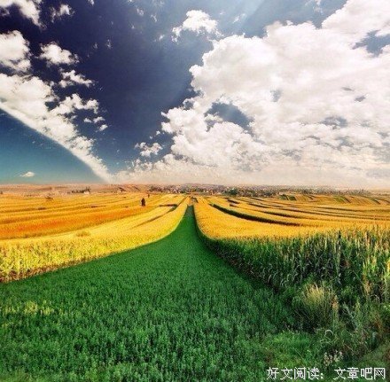 姑娘，不要埋怨那个抛弃你的人