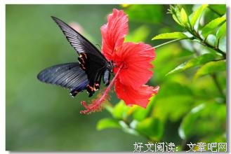 借一段电波，让你我相遇