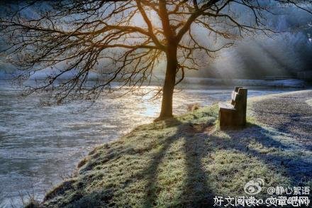 只要能够，请尽量给老人更多的安全感