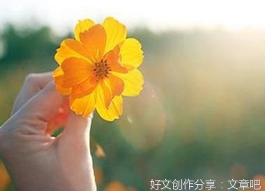 夏日里的邂逅